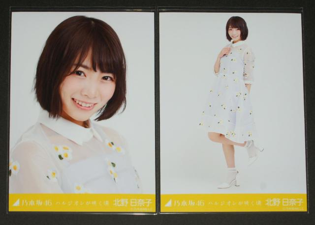 乃木坂46 北野日奈子 生写真2枚セミコンプ ハルジオンが咲く頃 < タレントグッズ 乃木坂46 北野日奈子 生写真2枚セミコンプ ハルジオンが咲く頃 < タレントグッズの