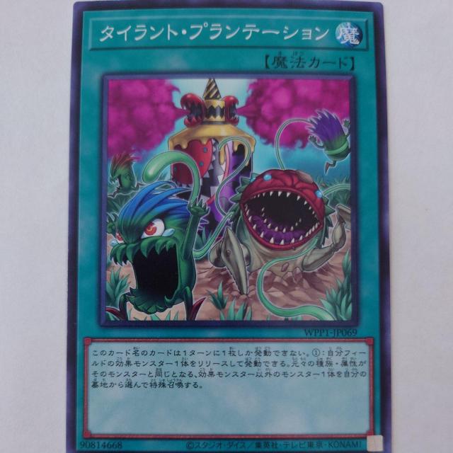 遊戯王 タイラント・プランテーション ノーマル < トレーディングカード 遊戯王 タイラント・プランテーション ノーマル < トレーディングカードの