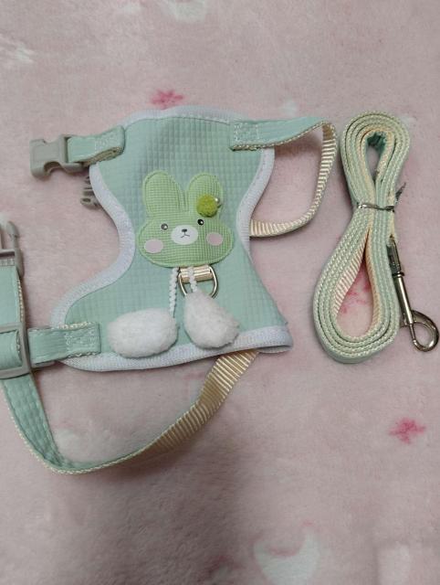 可愛いウサギデザイン ふわふわポンポン メッシュハーネス&リード 小型犬・猫用 ミントグリーン S < ペット/手芸/園芸 可愛いウサギデザイン ふわふわポンポン メッシュハーネス&リード 小型犬・猫用 ミントグリーン S < ペット/手芸/園芸の