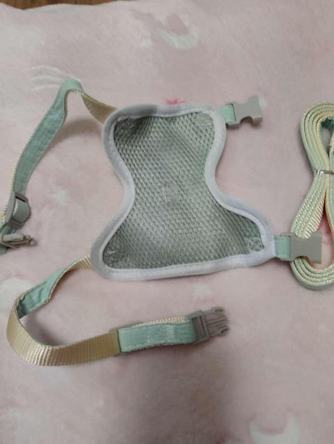 可愛いウサギデザイン ふわふわポンポン メッシュハーネス&リード 小型犬・猫用 ミントグリーン S < ペット/手芸/園芸 可愛いウサギデザイン ふわふわポンポン メッシュハーネス&リード 小型犬・猫用 ミントグリーン S < ペット/手芸/園芸の