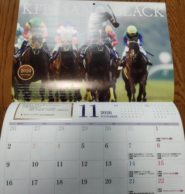 JRA 2026年 壁掛けカレンダー「殿堂の父子」キタサンブラック イクイノックス 競馬グッズ < ホビー JRA 2026年 壁掛けカレンダー「殿堂の父子」キタサンブラック イクイノックス 競馬グッズ < ホビーの