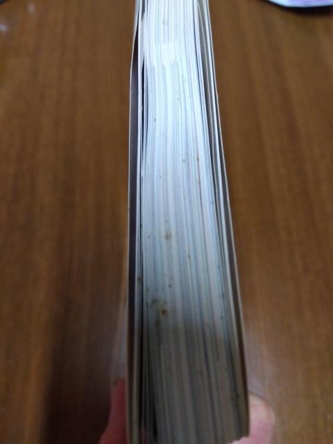 本「かわいい猫との暮らし方・しつけ方」他「ねこのきもち」付録本 < 本/雑誌  本「かわいい猫との暮らし方・しつけ方」他「ねこのきもち」付録本 < 本/雑誌の