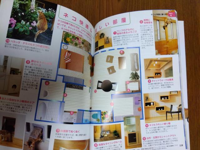 本「かわいい猫との暮らし方・しつけ方」他「ねこのきもち」付録本 < 本/雑誌  本「かわいい猫との暮らし方・しつけ方」他「ねこのきもち」付録本 < 本/雑誌の