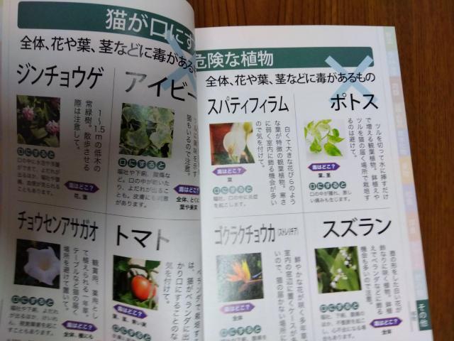 本「かわいい猫との暮らし方・しつけ方」他「ねこのきもち」付録本 < 本/雑誌  本「かわいい猫との暮らし方・しつけ方」他「ねこのきもち」付録本 < 本/雑誌の