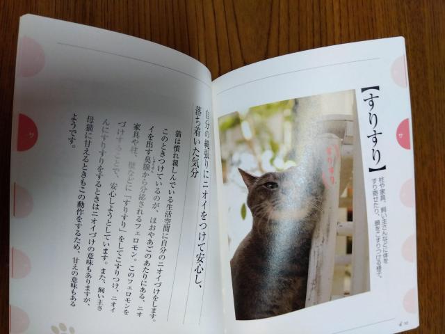 本「かわいい猫との暮らし方・しつけ方」他「ねこのきもち」付録本 < 本/雑誌  本「かわいい猫との暮らし方・しつけ方」他「ねこのきもち」付録本 < 本/雑誌の