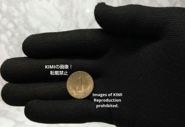 1シリング 1976 1 Schilling オーストリア 3つのエーデルワイスの花 コイン 古銭 貨幣芸術 Coin Art 1 < ホビー  1シリング 1976 1 Schilling オーストリア 3つのエーデルワイスの花 コイン 古銭 貨幣芸術 Coin Art 1 < ホビーの