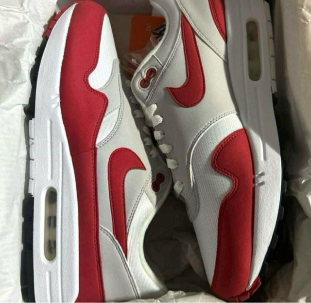 NIKE AIR MAX 1 ANNIVERSARY Red 2017 28.5cm iCL GA }bNX Ajo[T[  uh 