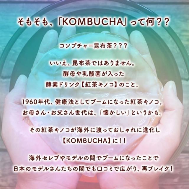 �R���u�`�� �T�v�������g  1�N�� �_�C�G�b�g ���e ���N �y�f ���_�� �g���L�m�R �y�� �� �O����/�h�����N�� 