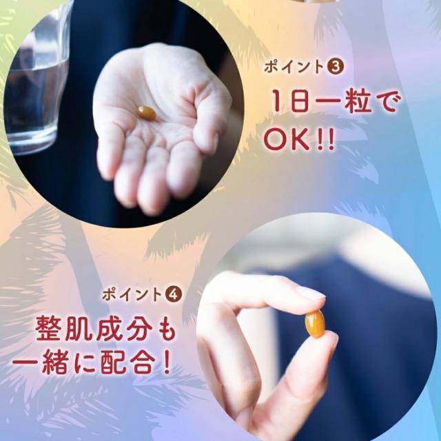 �R���u�`�� �T�v�������g  1�N�� �_�C�G�b�g ���e ���N �y�f ���_�� �g���L�m�R �y�� �� �O����/�h�����N�� 