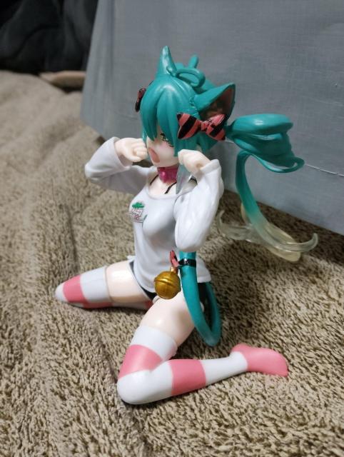 �����~�N�t�B�M���A �� �z�r�[�� 