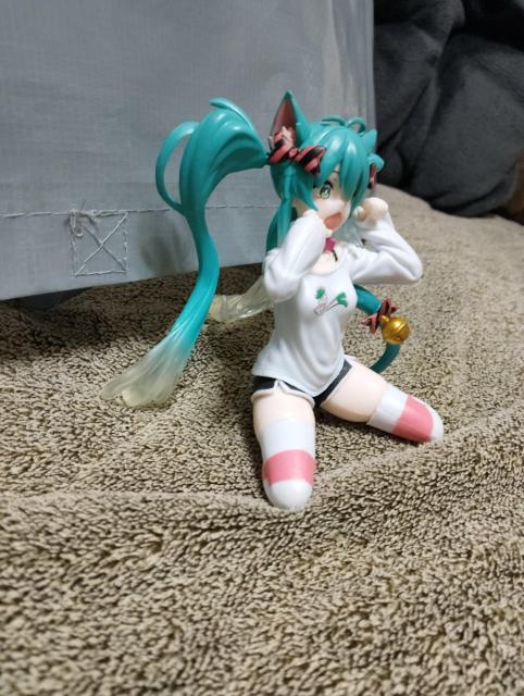 �����~�N�t�B�M���A �� �z�r�[�� 