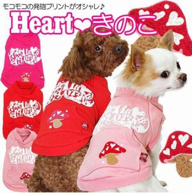 I[^J[g[i[ MD-S O[Vi `3kg  ybg/|/| 