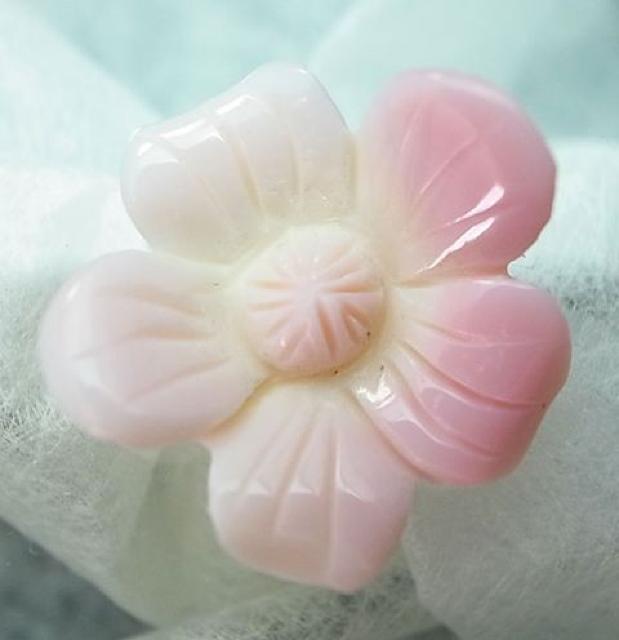 RNVF@ԁ3671cxy   ANZT[/v 