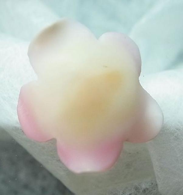 RNVF@ԁ3671cxy  ANZT[/v 