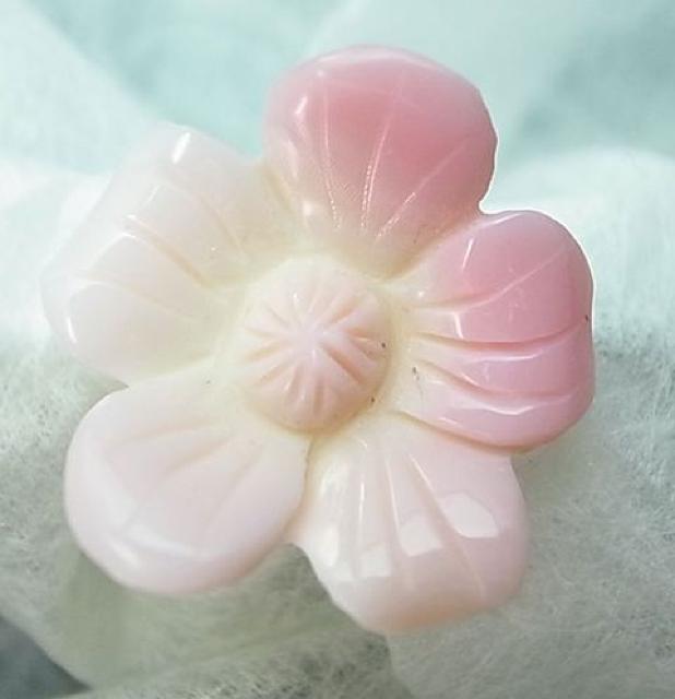 RNVF@ԁ3671cxy  ANZT[/v 