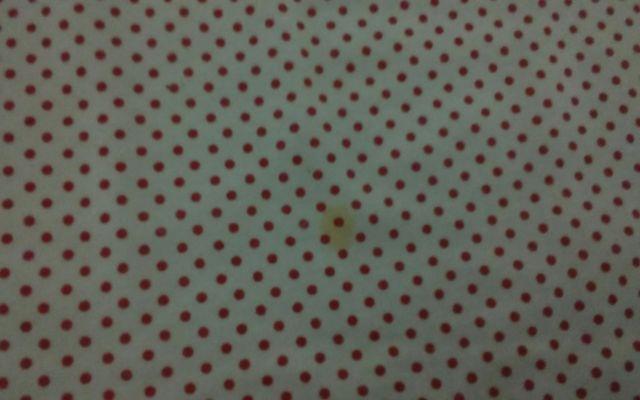 Party heart@@l`kTCY  t@bV 