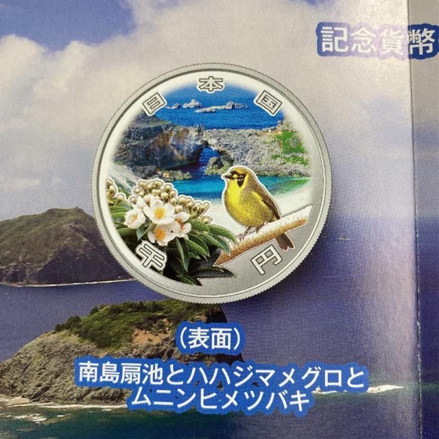 }A50NLO~ݕv[tݕZbg  zr[ 