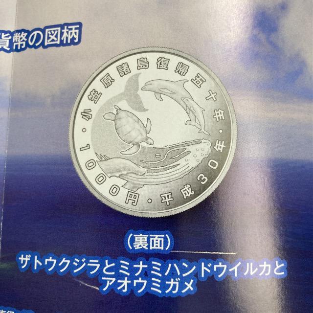 }A50NLO~ݕv[tݕZbg  zr[ 