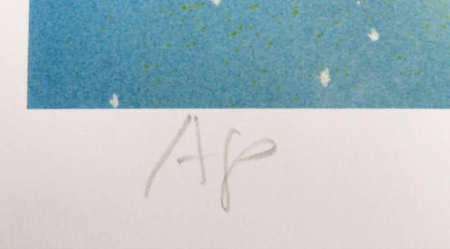 額装品を限定大特価出品!石川吾郎氏作ファンタジー系美人画「星空の人魚」の限定版画、エディション、直筆サインありの限定出品 < ホビー 額装品を限定大特価出品!石川吾郎氏作ファンタジー系美人画「星空の人魚」の限定版画、エディション、直筆サインありの限定出品 < ホビーの