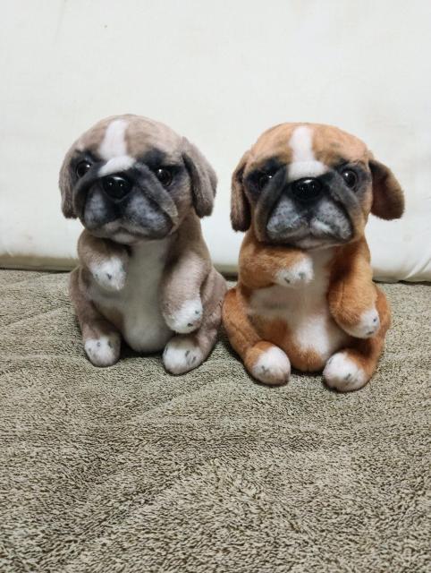 �y2�Z�b�g�z�p�O�ʂ������  �� �z�r�[�� 