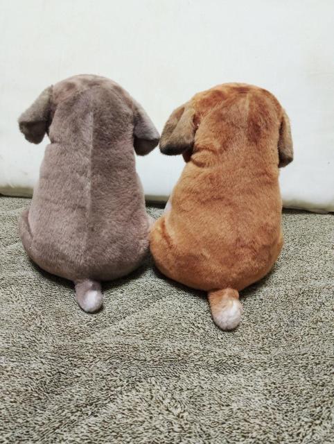 �y2�Z�b�g�z�p�O�ʂ������ �� �z�r�[�� 