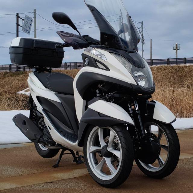 �y���ʖƋ��d�l�z ���}�n �g���V�e�B 125 SE82J 125cc �X�N�[�^�[ ���ԕt�y��� �� ������/�o�C�N