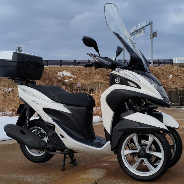 �y���ʖƋ��d�l�z ���}�n �g���V�e�B 125 SE82J 125cc �X�N�[�^�[ ���ԕt�y��� �� ������/�o�C�N