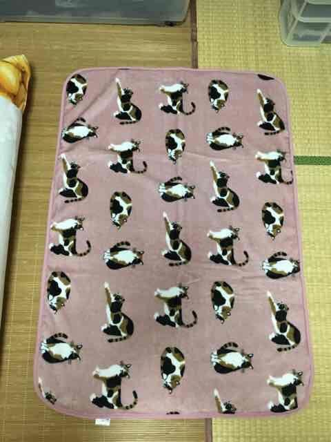 三毛猫のみやけさん・キャラクター柄ブランケット。ピンク < インテリア/ライフ 三毛猫のみやけさん・キャラクター柄ブランケット。ピンク < インテリア/ライフの