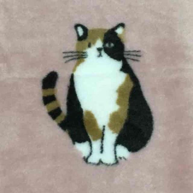 三毛猫のみやけさん・キャラクター柄ブランケット。ピンク < インテリア/ライフ 三毛猫のみやけさん・キャラクター柄ブランケット。ピンク < インテリア/ライフの