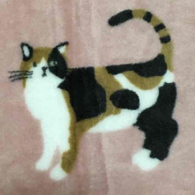 三毛猫のみやけさん・キャラクター柄ブランケット。ピンク < インテリア/ライフ 三毛猫のみやけさん・キャラクター柄ブランケット。ピンク < インテリア/ライフの
