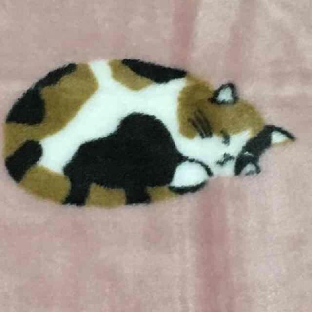 三毛猫のみやけさん・キャラクター柄ブランケット。ピンク < インテリア/ライフ 三毛猫のみやけさん・キャラクター柄ブランケット。ピンク < インテリア/ライフの