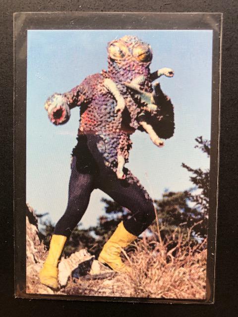 2006Jr[ʃC_[t@Ci/mn-547EqJI   g[fBOJ[h 