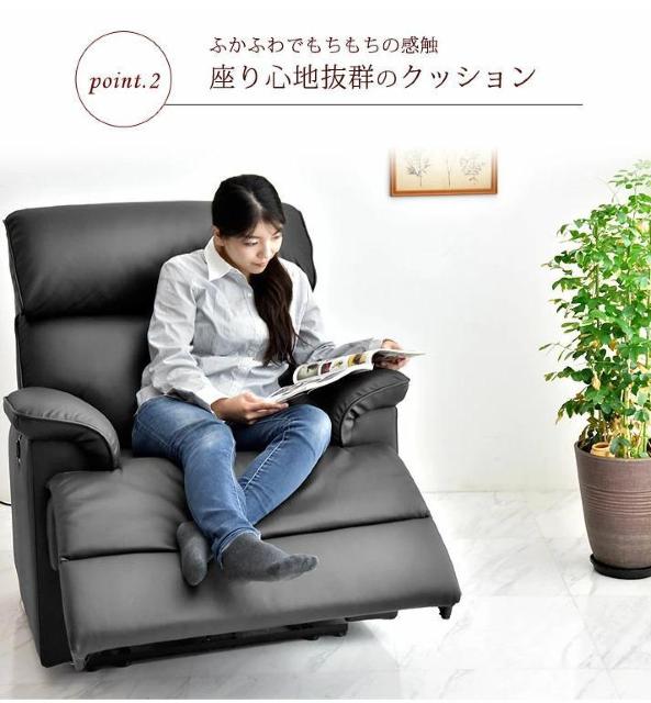 �y�{�^����ŊȒP���N���C�j���O�z�d�� ���N���C�j���O�\�t�@ 1�l�|�� �� �C���e���A/���C�t�� 