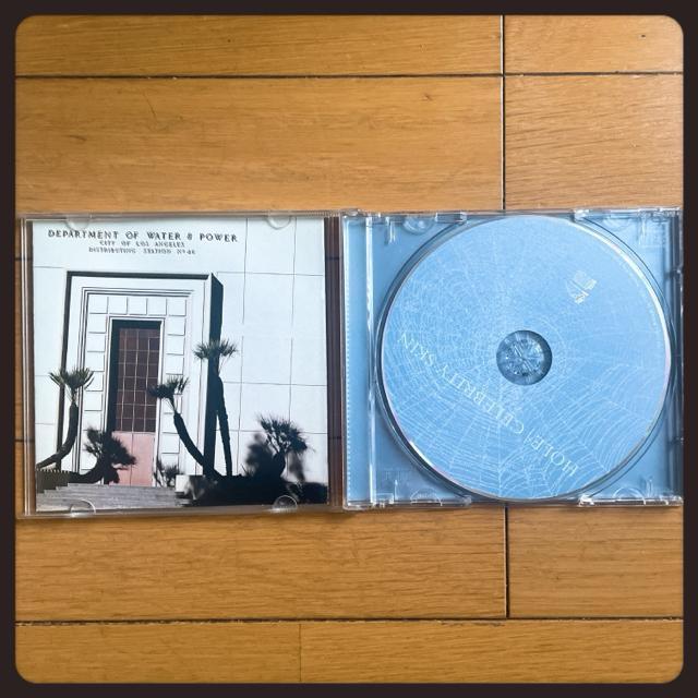 伝説のバンド! Hole ホール Celebrity Skin セレブリティスキン コートニー ラブ カートコバーン < CD/DVD/ビデオ 伝説のバンド! Hole ホール Celebrity Skin セレブリティスキン コートニー ラブ カートコバーン < CD/DVD/ビデオの