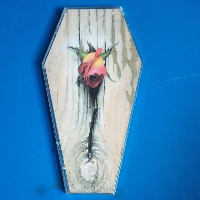 HYDE 限定ケース シングルCD evergreen < タレントグッズ HYDE 限定ケース シングルCD evergreen < タレントグッズの