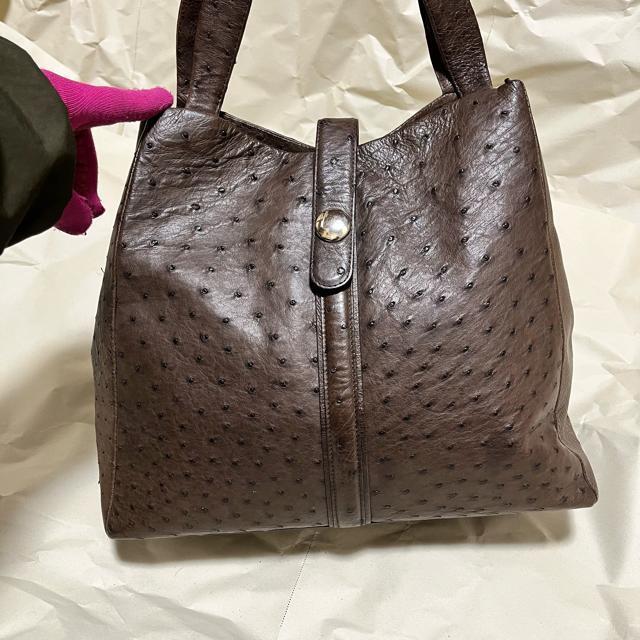 �ō��� �I�[�X�g���b�` �{�v �g�[�g�o�b�O �_�[�N�u���E�� �y�� �������� �G�L�]�`�b�N���U�[ ���B���e�[�W �� �����t�@�b�V������ 