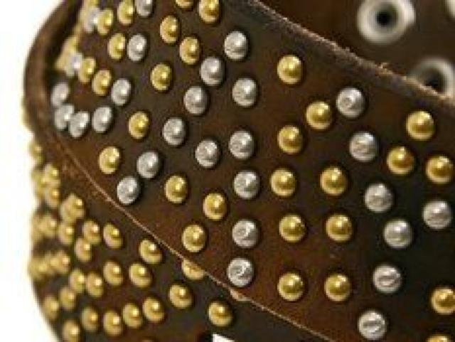 【DAYS OF FREEDOM/デイズオブフリーダム】牛革 スタッズベルト < 男性ファッション 【DAYS OF FREEDOM/デイズオブフリーダム】牛革 スタッズベルト < 男性ファッションの