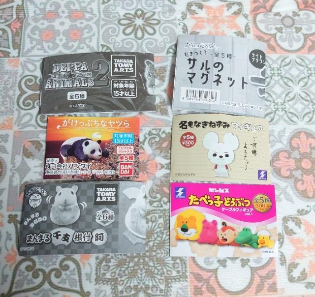 y`OzK`K`wx6_Zbg  zr[ 