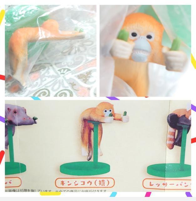 y`OzK`K`wx6_Zbg  zr[ 