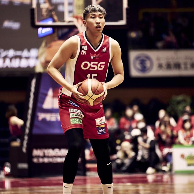 #15 ` CI蒅pEMTC 60NLO jtH[iREDj㉺Zbg 