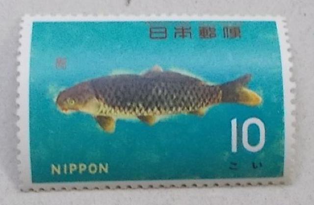 【未使用】魚介シリーズ コイ 1枚 < ホビー  【未使用】魚介シリーズ コイ 1枚  < ホビーの