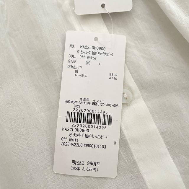 [Vi]AMERICAN HOLIC ohJ[{[Vcs[X  t@bV 