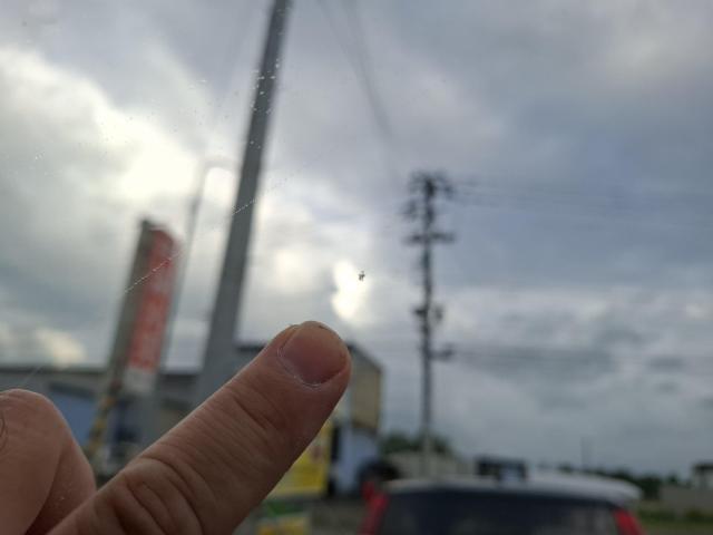 車検長い とりあえずワンボックス セレナCC25 2WD < 自動車/バイク 車検長い とりあえずワンボックス セレナCC25 2WD < 自動車/バイク