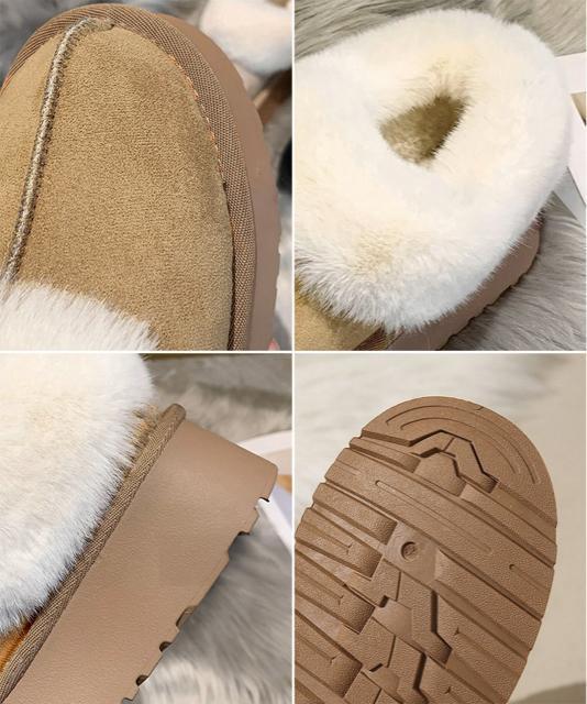  Vi ꃀ[gu[c V[gu[c  t@bV 