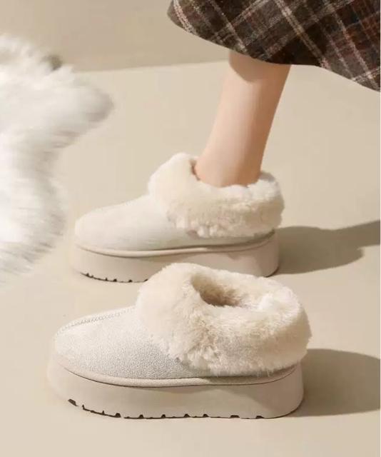  Vi ꃀ[gu[c V[gu[c  t@bV 