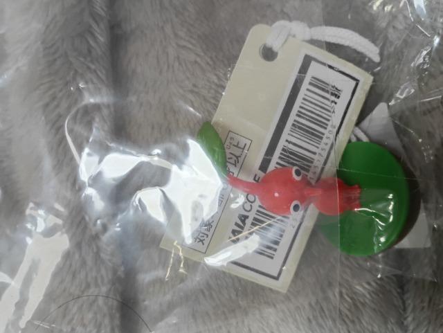 �s�N�~���A�����t�B�M���A�Ԍn �� �z�r�[�� 