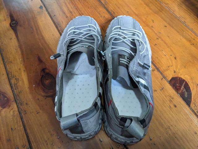 �V�i 25cm �����Y �X�j�[�J�[ ���[�J�b�g �V���[�Y �O���[ �C �}�E���e��