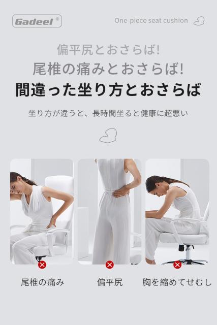 �����o�[�T�|�[�g�N�b�V���� �l�ԍH�w ���K�N�b�V���� ���ՃT�|�[�g �p������ ���ɑ΍� �^�] �w������ ����Ȃ��ʋC�� �� �C���e���A/���C�t�� 