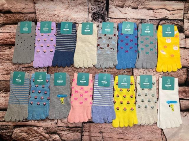 Iw摜Sgxȍ TTKIfB[XȍT{wXj[J[\bNX   t@bV 