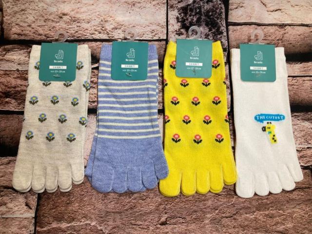 Iw摜Sgxȍ TTKIfB[XȍT{wXj[J[\bNX  t@bV 